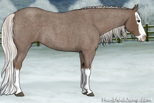 Horse Color:Silver Blue Roan Splash