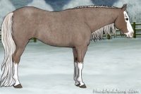 Horse Color:Silver Blue Roan Splash