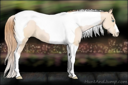 Horse Color:Buckskin Pearl Tobiano 