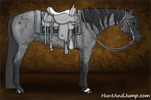 Horse Color:Blue Roan