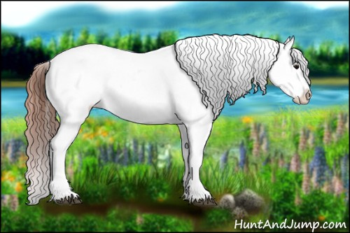 Horse Color:Bay Blanket