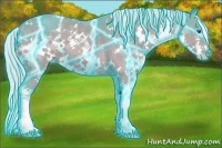 Horse Color:Thunderstruck Watercolor White Spotted Silver Bay Splash