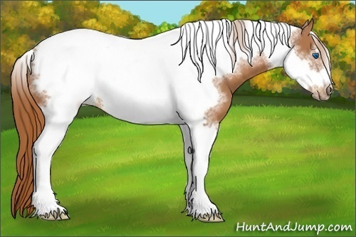 Horse Color:Chestnut Tobiano Frame 
