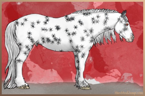 Horse Color:Silver Black Chinchilla Splash Tobiano 