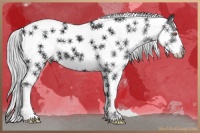 Horse Color:Silver Black Chinchilla Splash Tobiano 