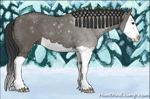Horse Color:Grullo Splash 