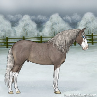 Horse Color:Silver Blue Roan Splash
