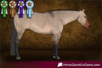 Horse Color:Brown Dun Rabicano Brindle 