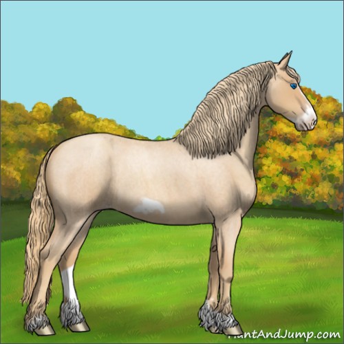 Horse Color:Gold Champagne Roan Frame 