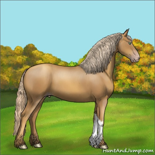 Horse Color:Gray Gold Cream Champagne