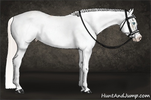 Horse Color:Chocolate Palomino Pearl Dun Sabino and Chocolate Palomino Pearl Dun Sabino