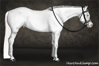 Horse Color:Chocolate Palomino Pearl Dun Sabino and Chocolate Palomino Pearl Dun Sabino