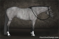 Horse Color:Blue Roan Rabicano 
