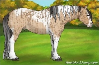 Horse Color:Bay Dun Tobiano  and Bay Roan Dun Splash Tobiano Rabicano 