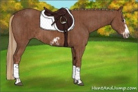 Horse Color:Chestnut Splash Frame  and Chestnut Splash Frame 