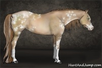 Horse Color:Liver Chestnut Pearl Sabino 