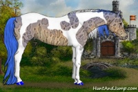 Horse Color:Watercolor Buckskin Ice Tobiano