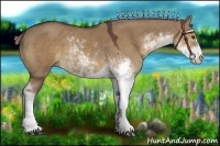 Horse Color:Liver Red Dun Sabino