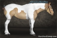 Horse Color:Red Dun Tobiano 