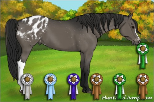 Horse Color:Gray Black Blanket 
