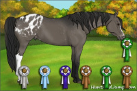 Horse Color:Gray Black Blanket 
