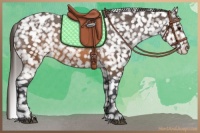 Horse Color:Brown Appaloosa