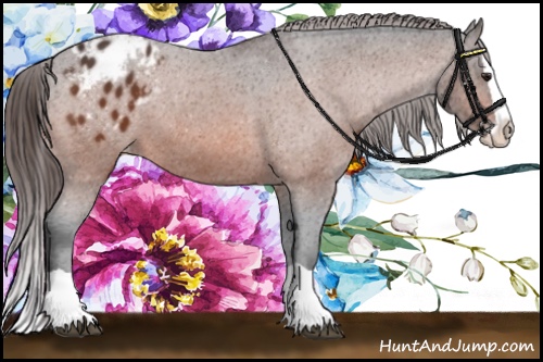 Horse Color:Brown Splash Varnish 
