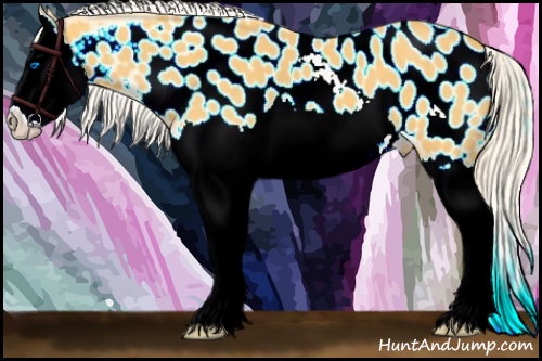 Horse Color:Palomino Splash Near Leopard