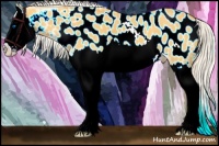 Horse Color:Palomino Splash Appaloosa 