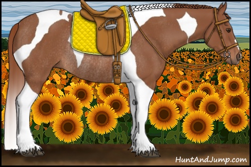 Horse Color:Chestnut Tobiano Rabicano
