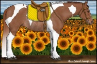 Horse Color:Chestnut Tobiano Rabicano 