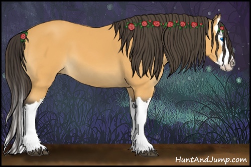 Horse Color:Buckskin Splash 