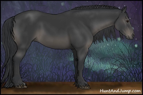 Horse Color:Black 