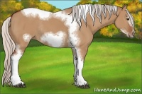 Horse Color:Silver Bay Dun Sabino Tobiano Frame Rabicano 