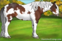 Horse Color:Bay Tobiano Frame Rabicano