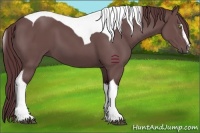 Horse Color:Chocolate Black Sabino Tobiano 