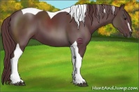 Horse Color:Chocolate Black Sabino Tobiano