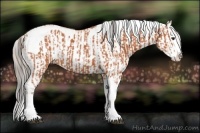 Horse Color:Silver Bay Splash Tobiano and White Spotted Bay Splash