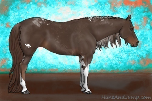 Horse Color:Liver Chestnut Tobiano 