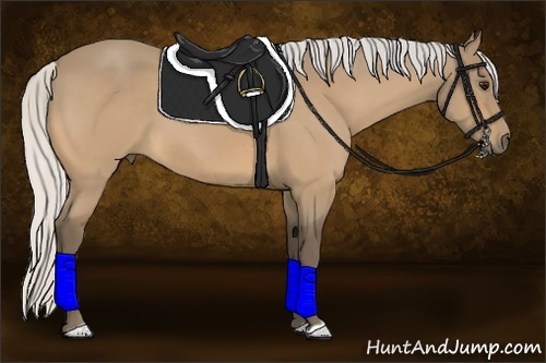 Horse Color:Silver Buckskin 