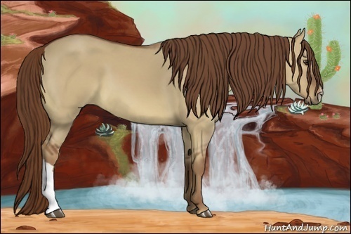 Horse Color:Red Dun 