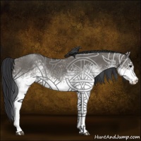 Horse Color:White Spotted Grullo