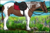 Horse Color:Chestnut Tobiano
