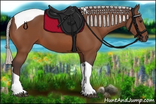 Horse Color:Silver Brown Tobiano 