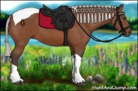 Horse Color:Silver Brown Tobiano 