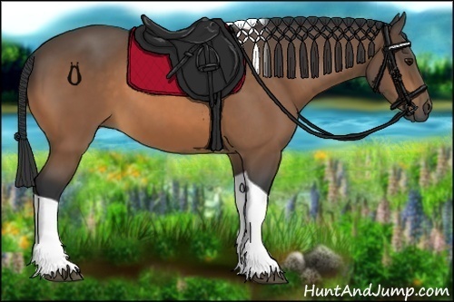 Horse Color:Buckskin Tobiano 