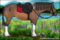 Horse Color:Buckskin Tobiano