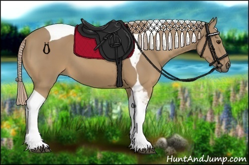 Horse Color:Palomino Tobiano 