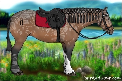 Horse Color:Buckskin Ice