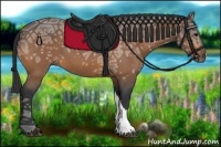 Horse Color:Buckskin Ice 